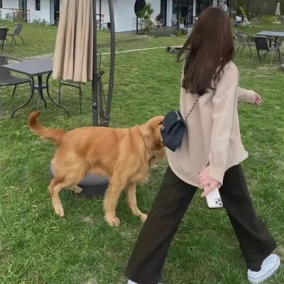 美好的意外
